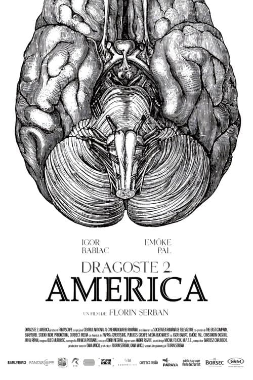 Dragoste 2. America poster