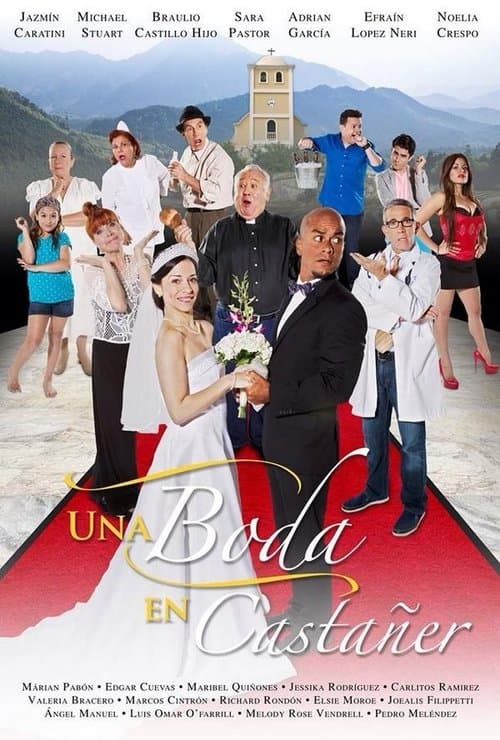 Una boda en Castañer poster