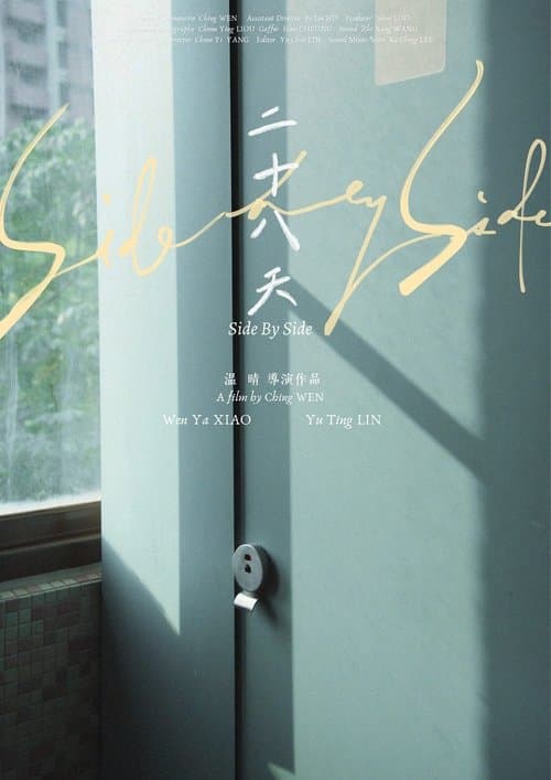 二十八天 poster