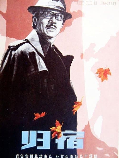 归宿 poster