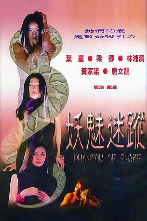 妖魅迷蹤 poster