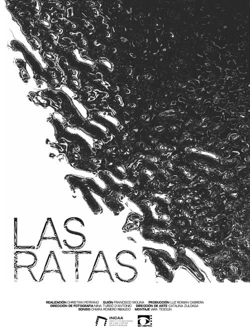 The Rats poster