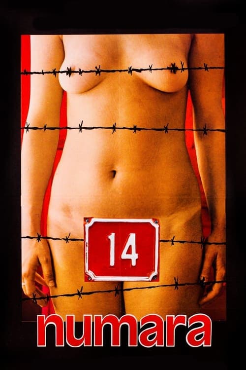 14 numara poster