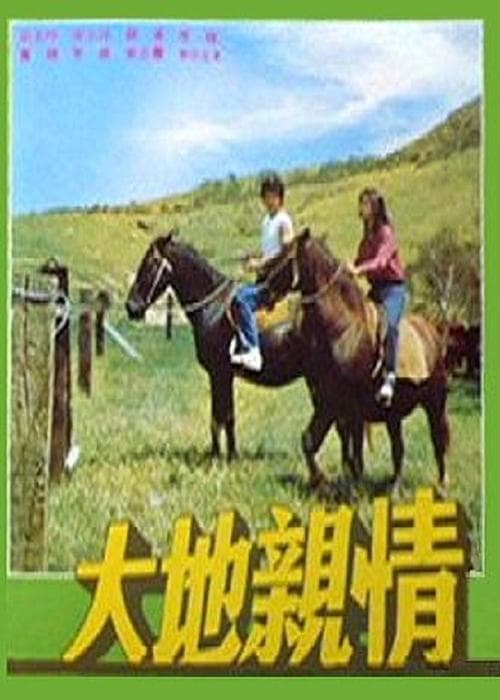 大地親情 poster