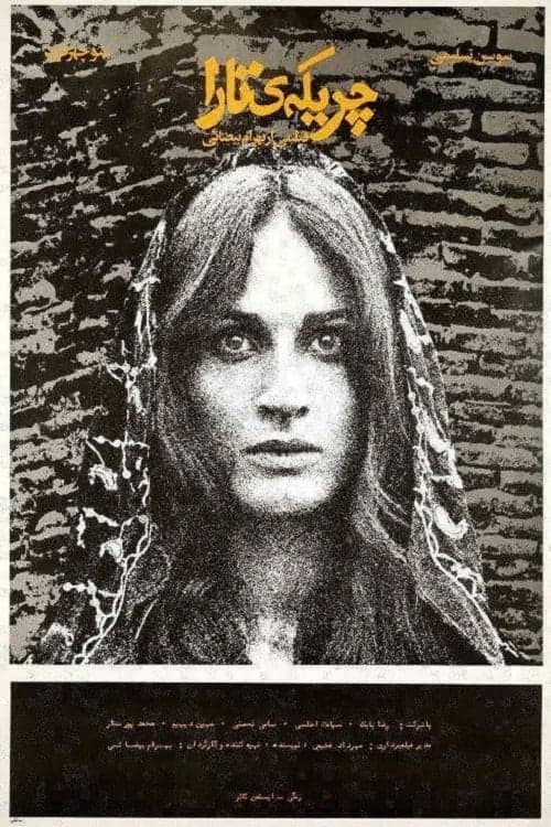 چریکه‌ی تارا poster