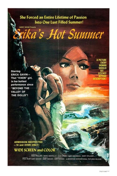 Erika's Hot Summer poster