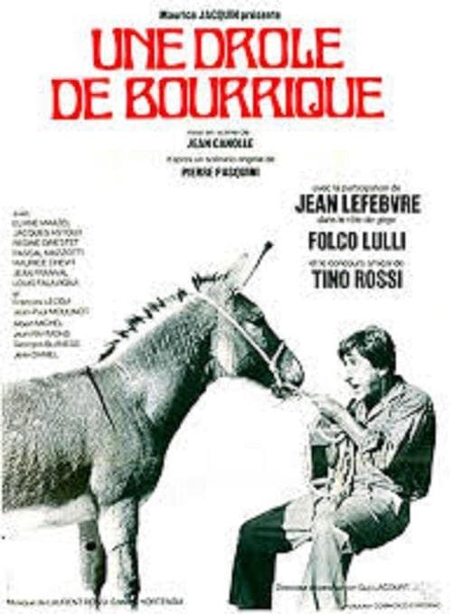 L'âne de Zigliara poster