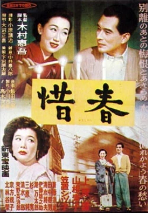 惜春 poster