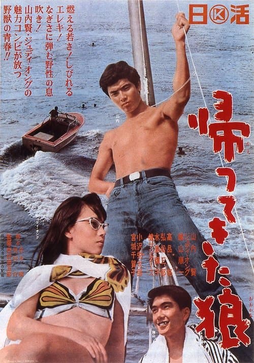 帰ってきた狼 poster