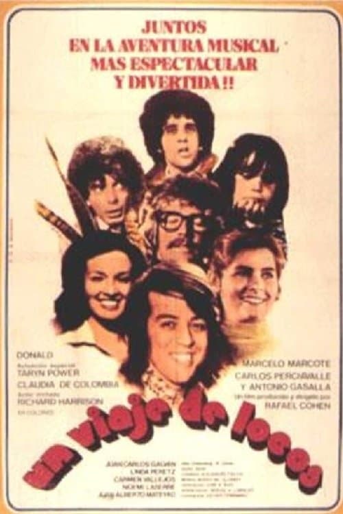 Un viaje de locos poster