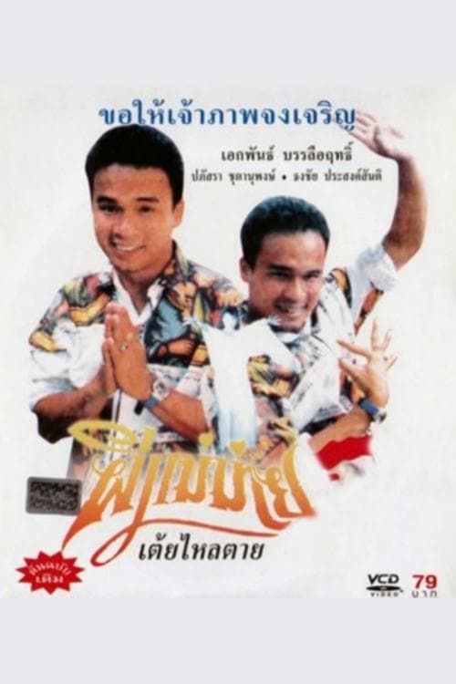 ผีแม่ม่าย poster