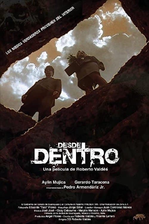 Desde dentro poster