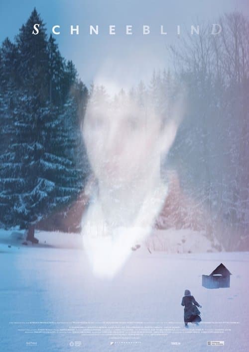 Schneeblind poster