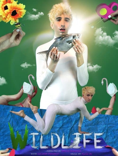 Wildlife poster
