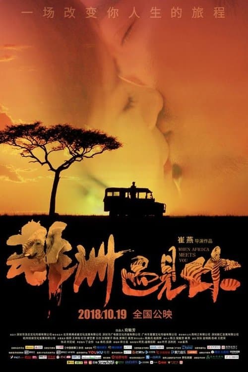 非洲遇见你 poster