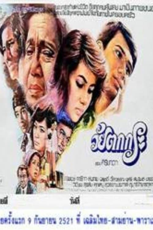 วัยตกกระ poster