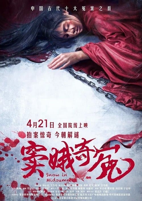 窦娥奇冤 poster