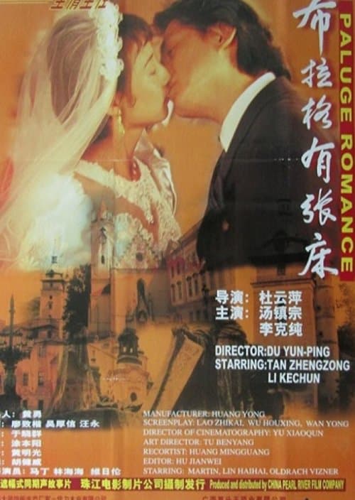 布拉格有张床 poster