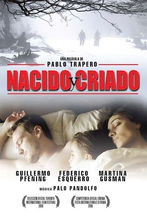 Auszeit in Patagonien poster