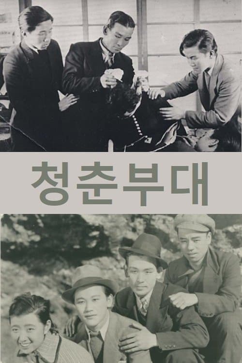 청춘부대 poster