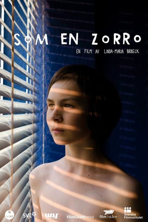 Som en Zorro poster