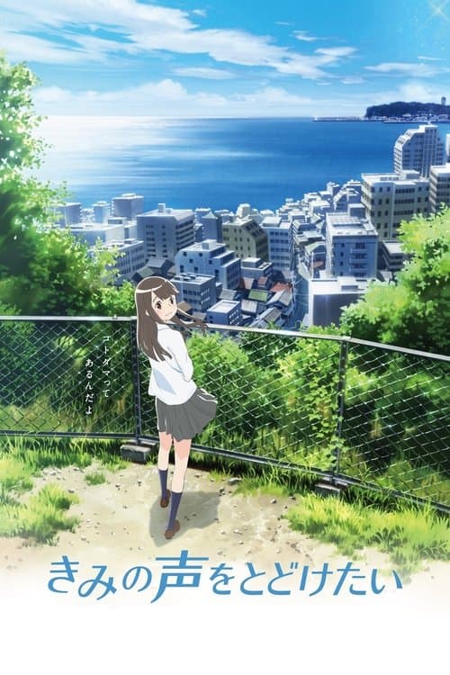 Your Voice: Kimikoe poster