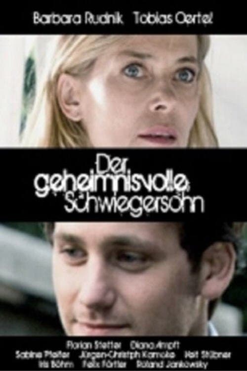 Der geheimnisvolle Schwiegersohn poster