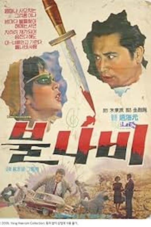 불나비 poster