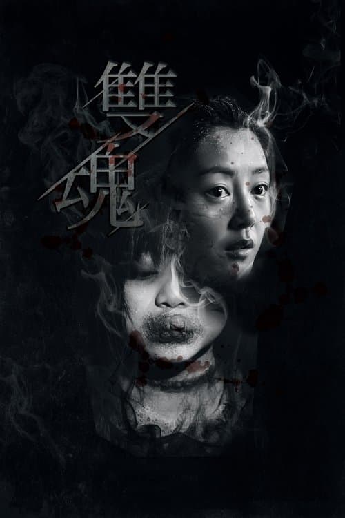 雙魂 poster