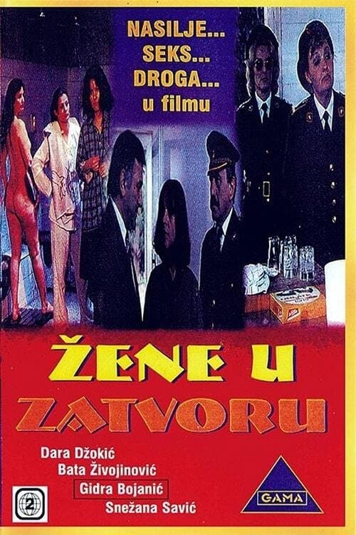 U zatvoru poster