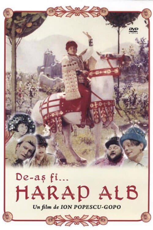 Der weiße Mohr poster