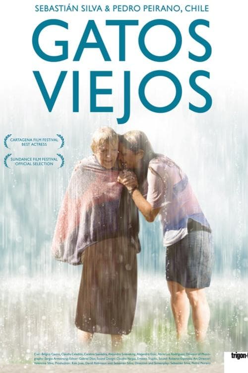 Gatos viejos poster