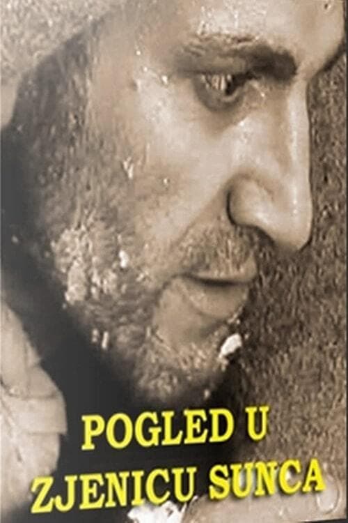 Pogled u zjenicu sunca poster