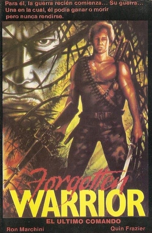 Commander Rainbow poster