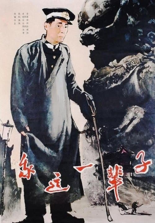 我这一辈子 poster