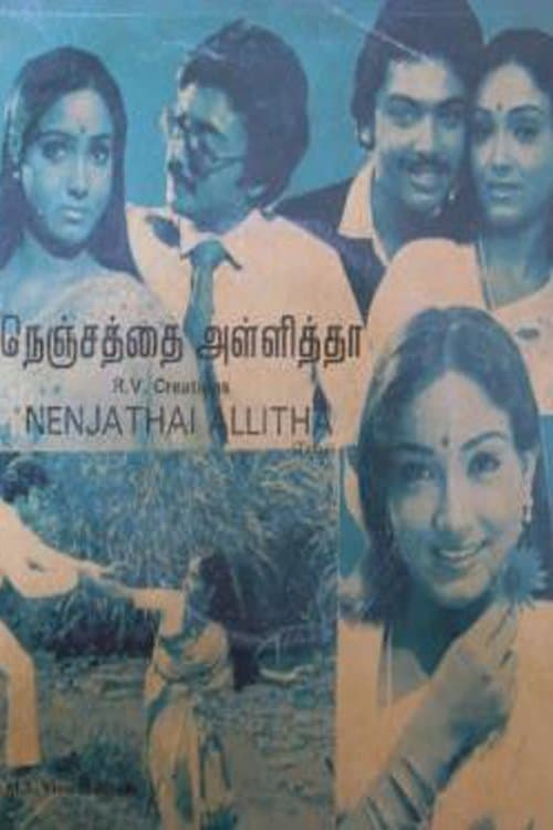 நெஞ்சத்தை அள்ளித poster