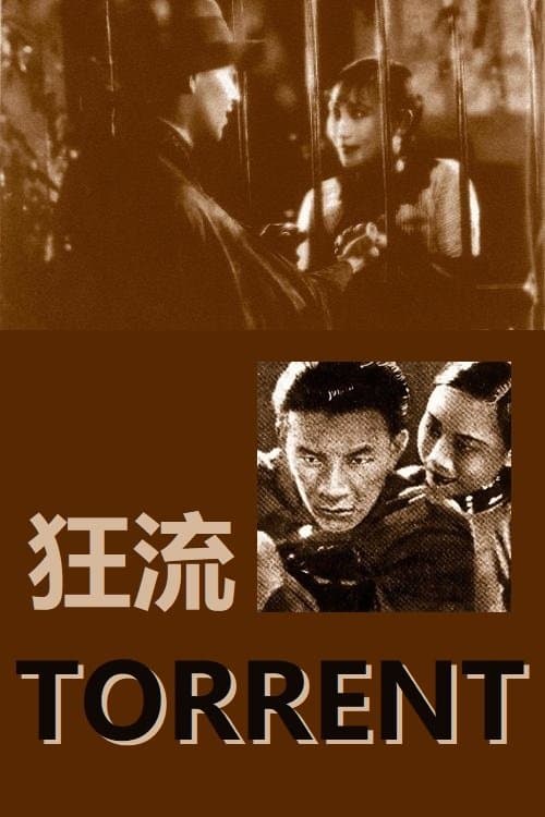 狂流 poster