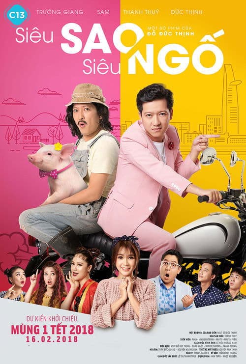 Siêu Sao Siêu Ngố poster