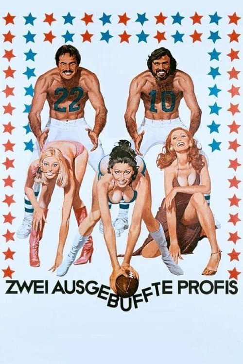 Zwei ausgebuffte Profis poster