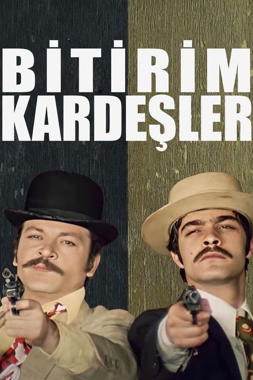 Bitirim Kardeşler poster