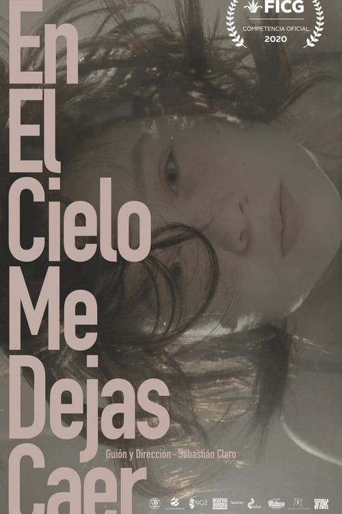 En el cielo me dejas caer poster