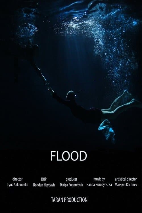 Повінь poster