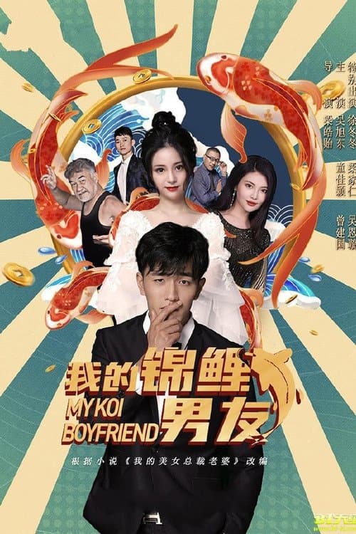我的美女总裁老婆 poster