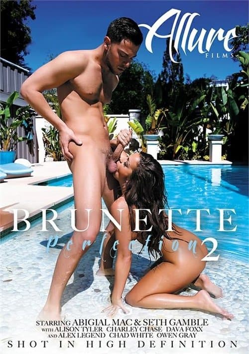 Brunette Perfection 2 poster