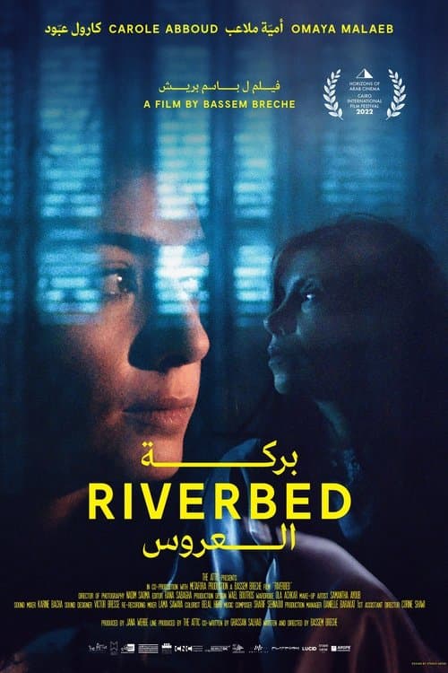 Riverbed (El estanque de la doncella) poster