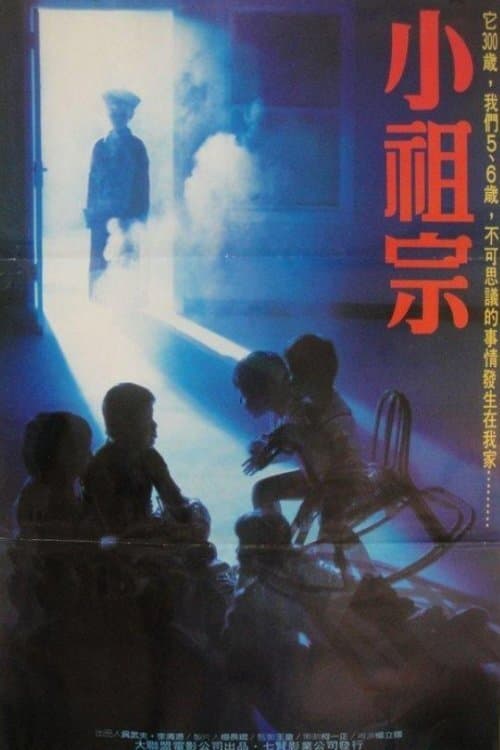 小祖宗 poster