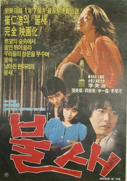 불새 poster