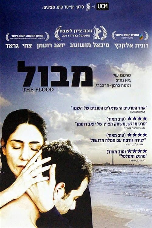 מבול poster