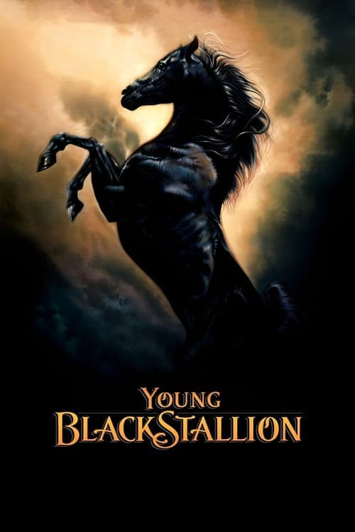 Der schwarze Hengst - Wie alles begann... poster