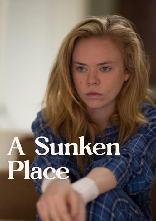 A Sunken Place poster